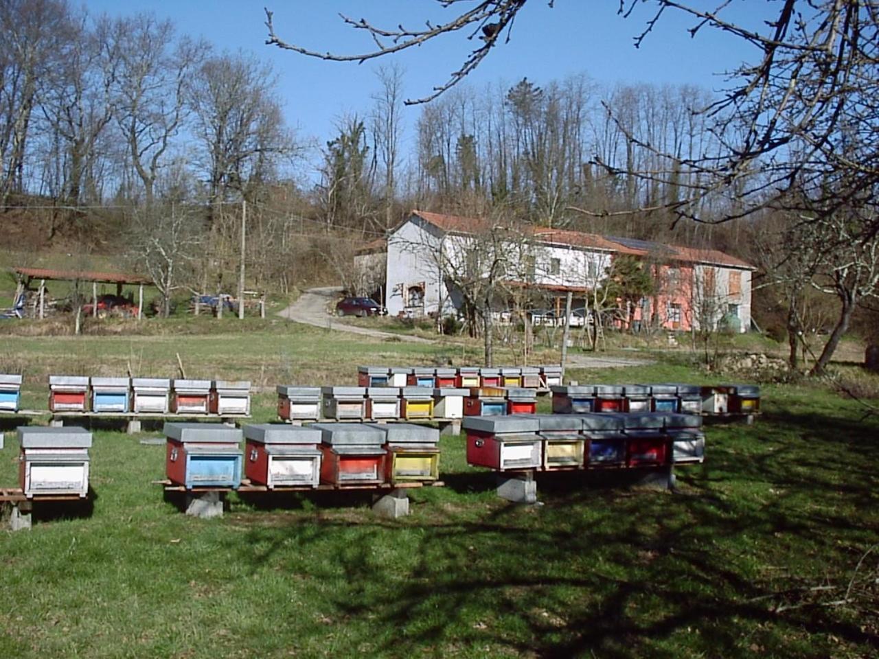 فيلا Agriturismo Ca Rossano Licciana Nardi المظهر الخارجي الصورة